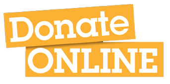 Donate Online Icon